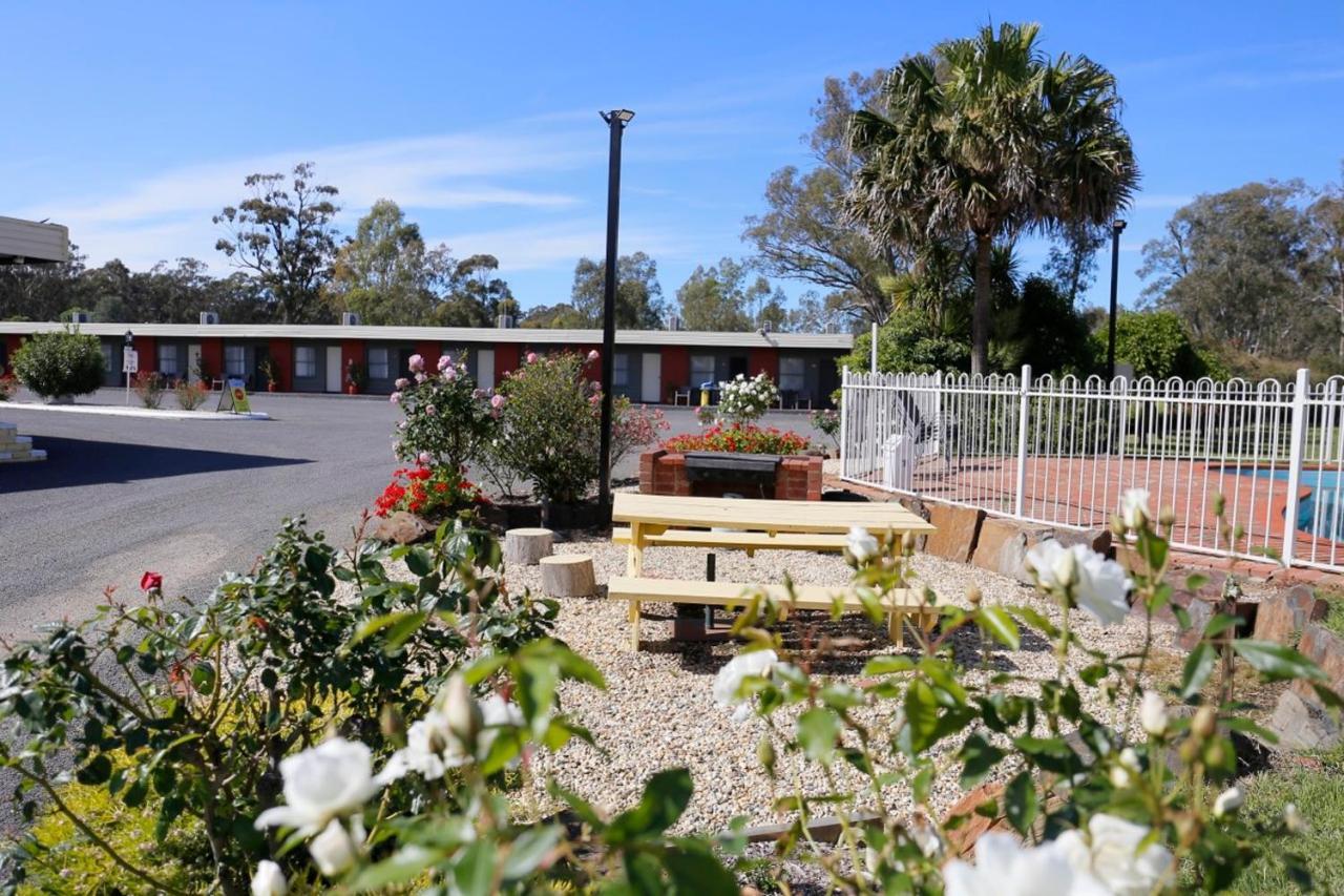 Motel Seymour Motel 3*